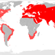 The incredible global spread of the house mouse. (Image: Osado/Wikimedia